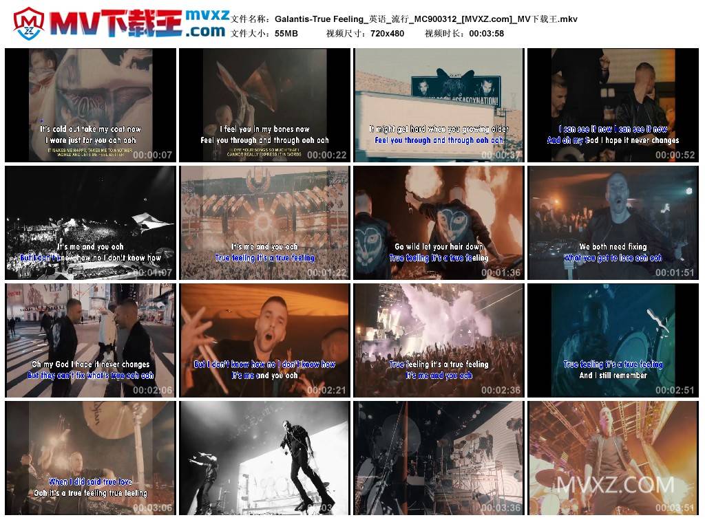 Galantis-True Feeling_英语_流行_MC900312